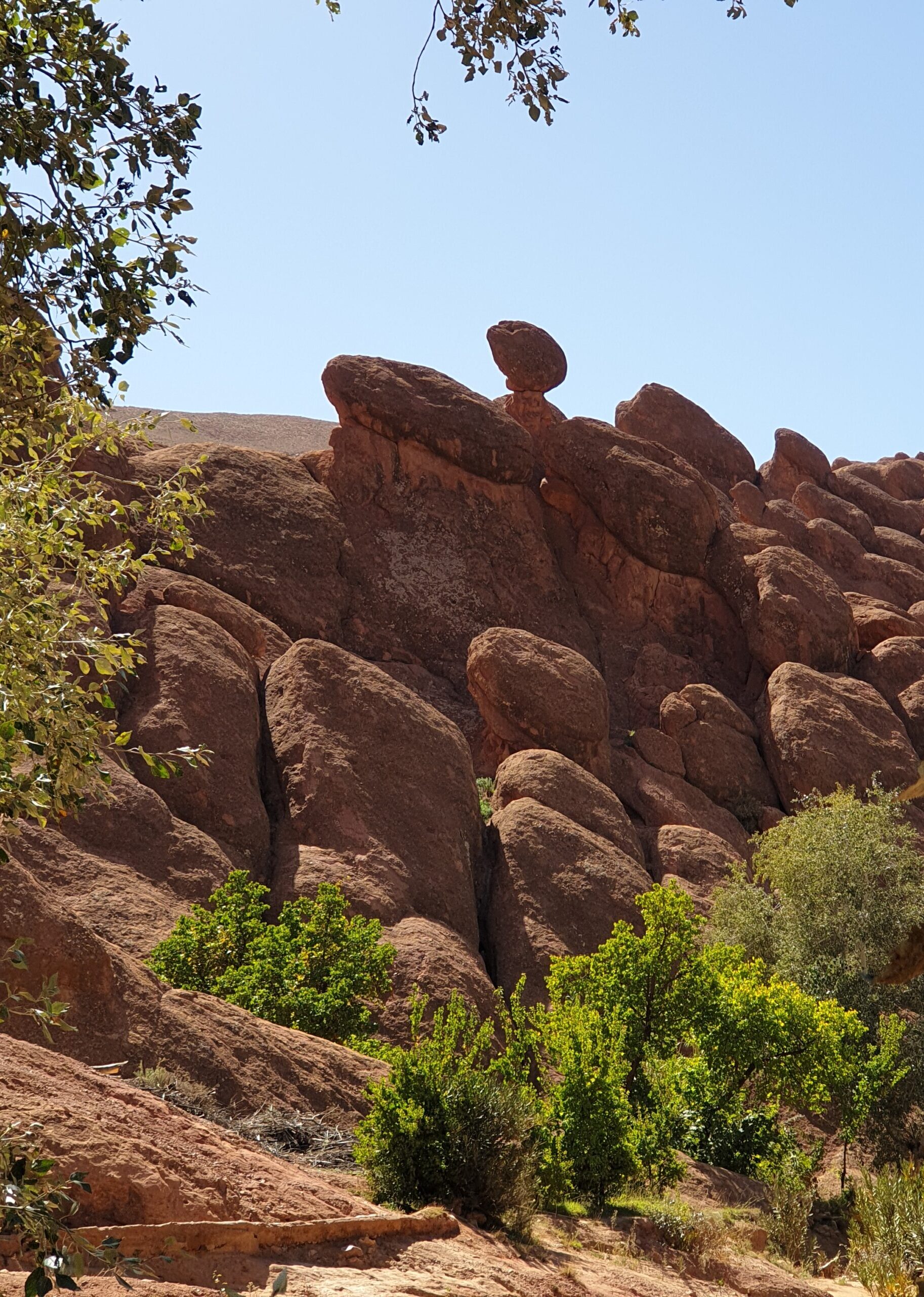 monkey fingers morocco