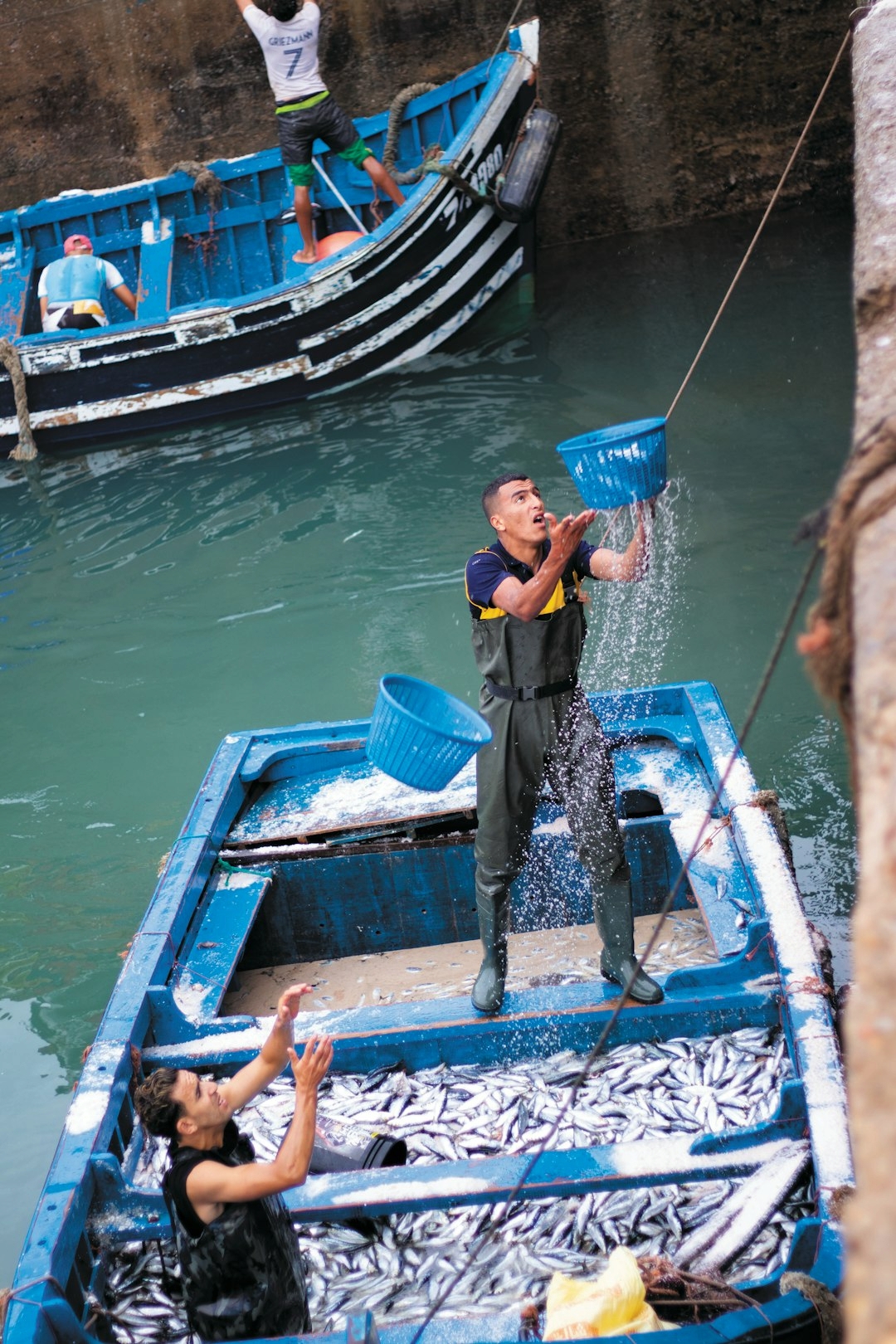 essaouira fish morocco