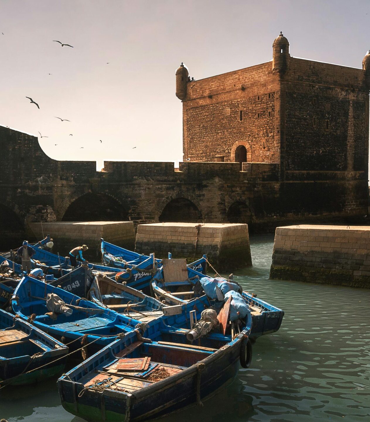 pexels-photo-13308439-13308439 Blue boats moored in Essaouira port under a historic fort, Morocco.