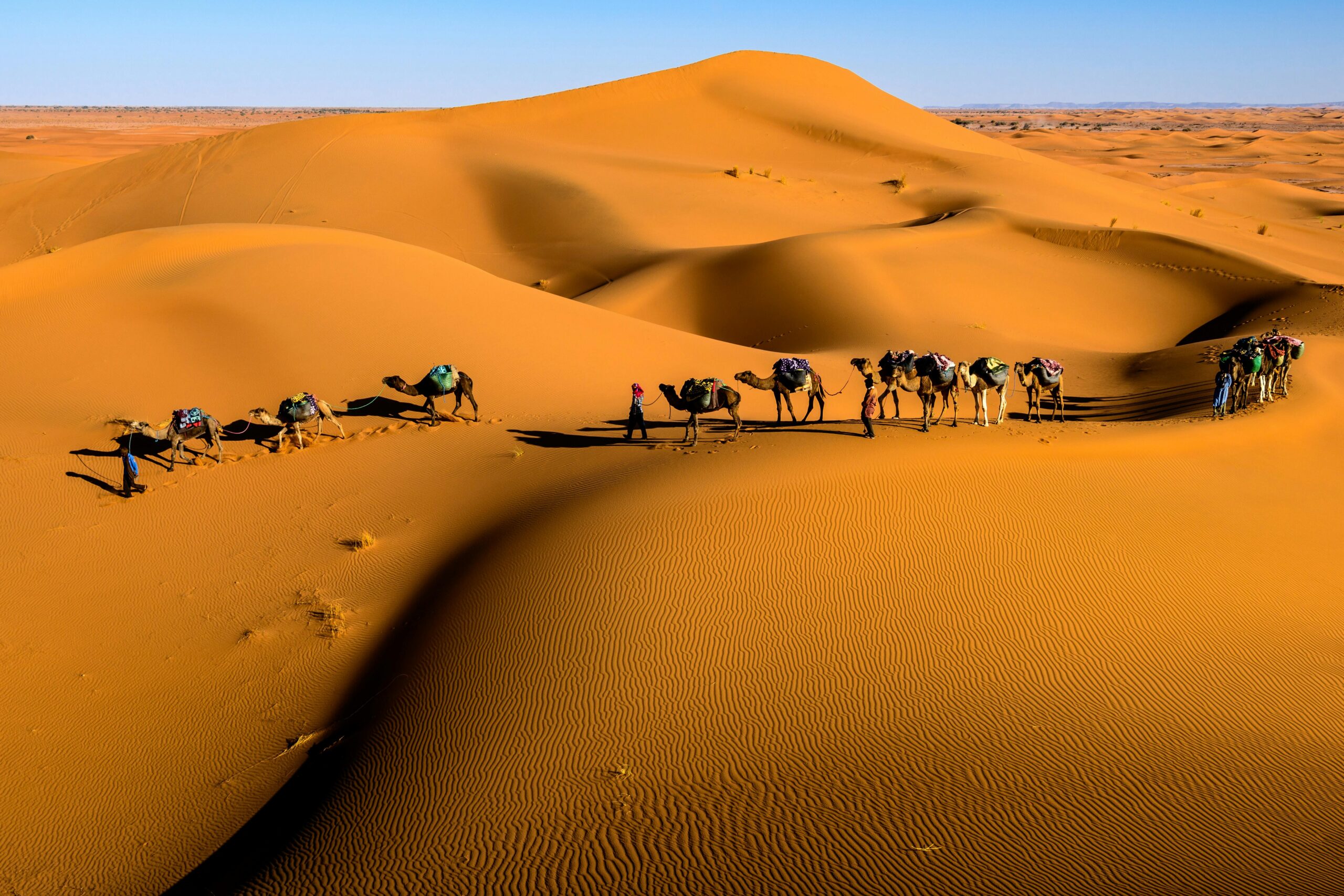 pexels-photo-8357638-8357638 Camel caravan crossing dunes in Zagora, Morocco under a bright blue sky.